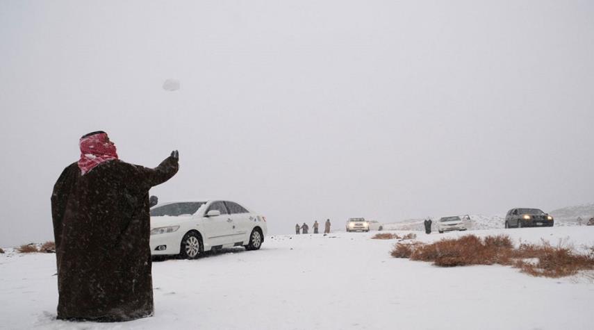 بوادر الموجة البادرة