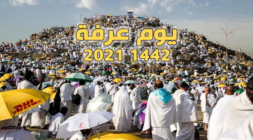 عرفات ٢٠٢١ وقفة دار الإفتاء: