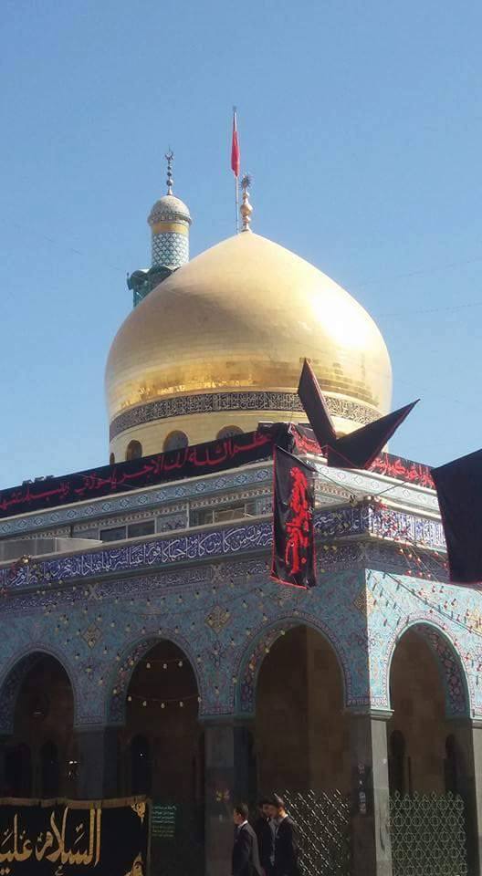خصائص خصت بها السيّدة زينب (سلام الله عليها)