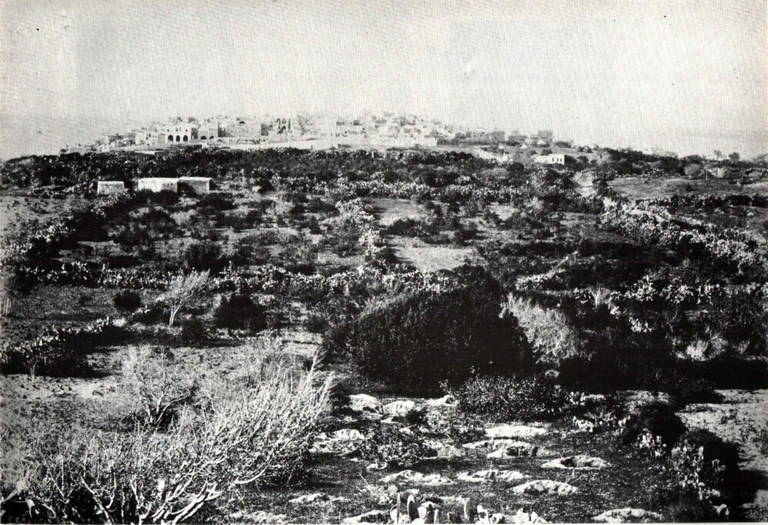 شاهد صور رائعة وتاريخية من مدينة يافا الفلسطينية المحتلة 