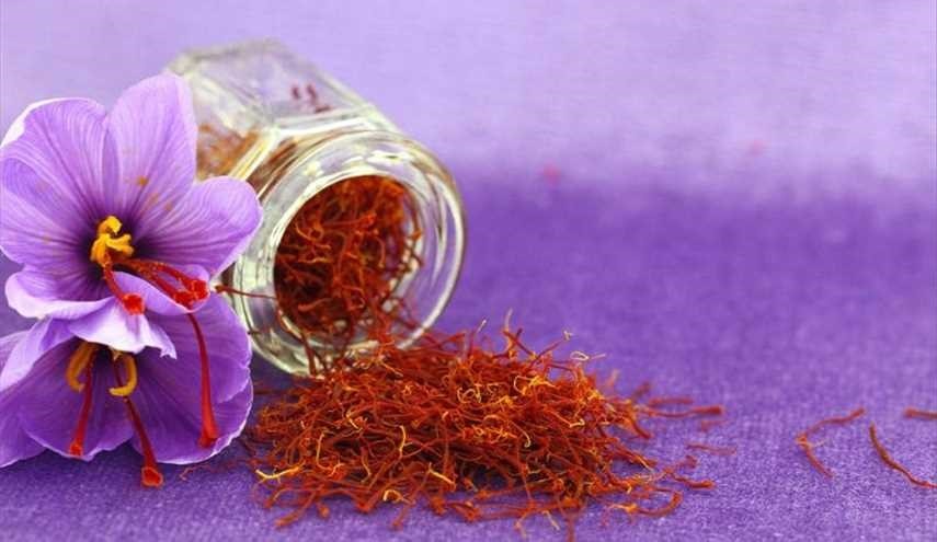 "الزعفران" أغلى أنواع التوابل في العالم والايراني افخرها.. تعرف على السر!