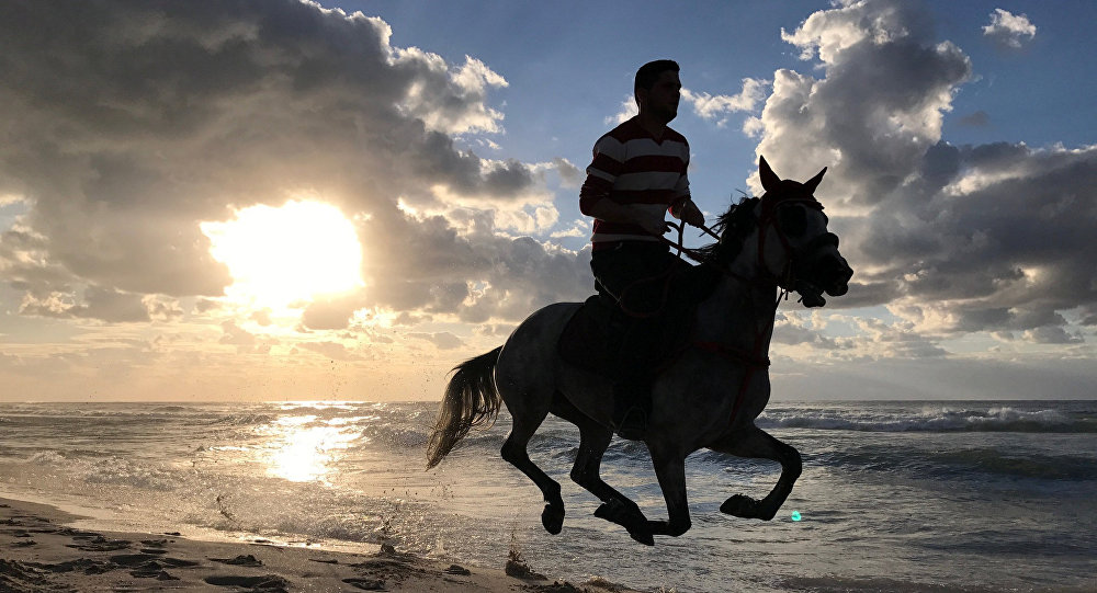 فوائد مذهلة للأطفال عند ركوب الخيل