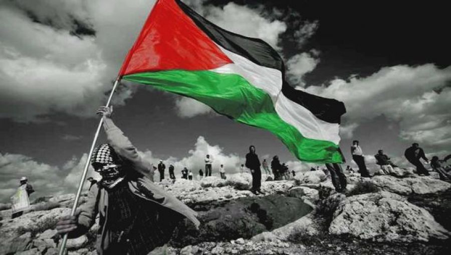 انفوغرافيك: دراسة نموذجين مختلفتين فيما يخص القضية الفلسطينية