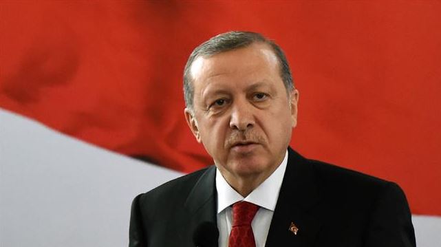 أردوغان: من الضروري تثبيت وقف إطلاق النار في سوريا