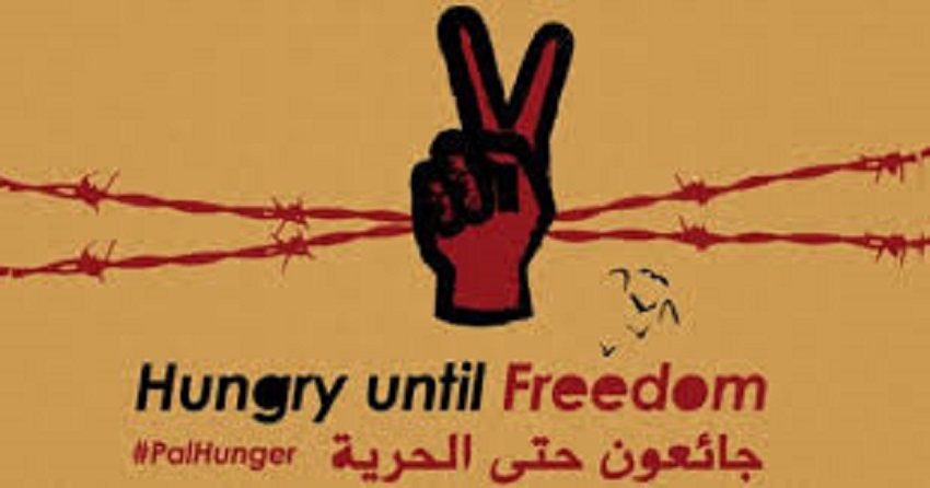 34 يومًا على إضرابهم.. الأسرى أمام المرحلة الأصعب