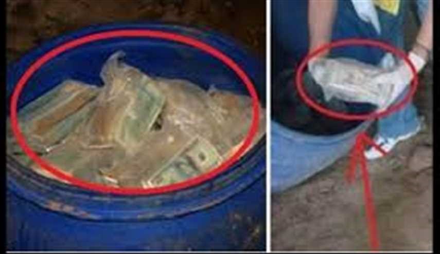 بالصور.. رجل يعثر على 600 مليون دولار مدفونة في أرضه!