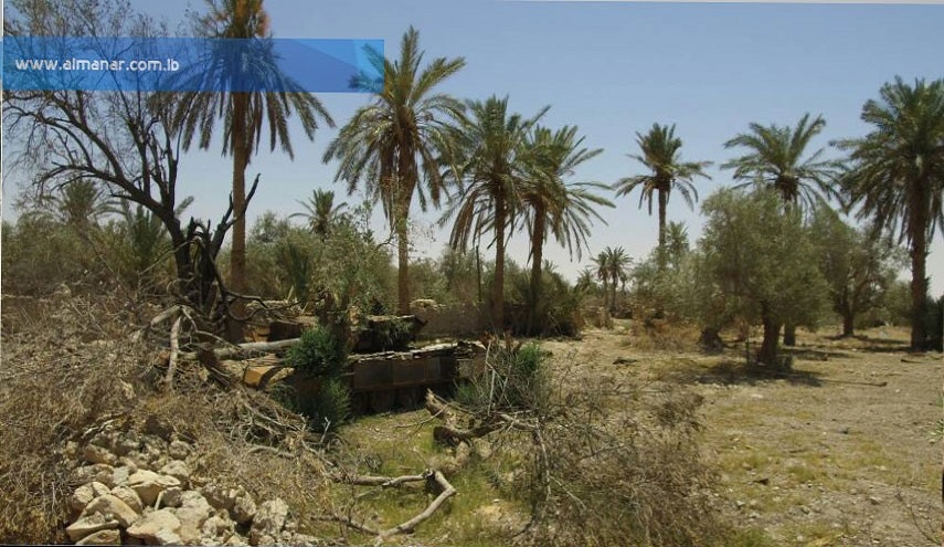 صور من عمليات الجيش السوري في بادية تدمر