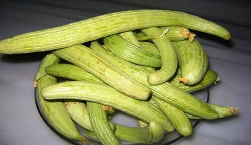 ماذا يسمى هذا النوع من الخيار في العراق؟!