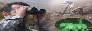 النمر الإيراني