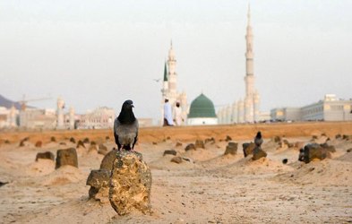 قبور مطهر ائمه بقيع چند مرتبه تخريب شد؟