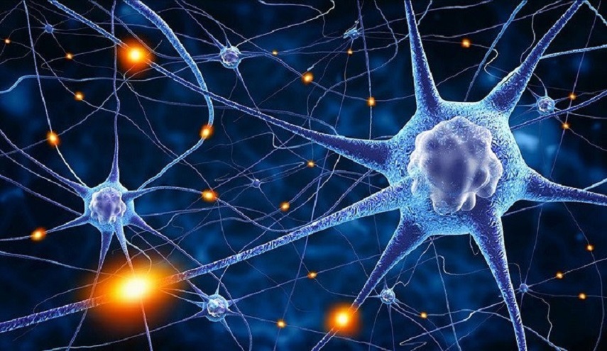 إطالة العمر في المستقبل قد تصبح ممكنة!