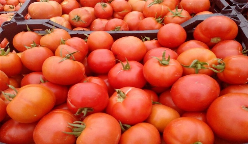 ما هي الآثار الجانبية لتناول البندورة؟