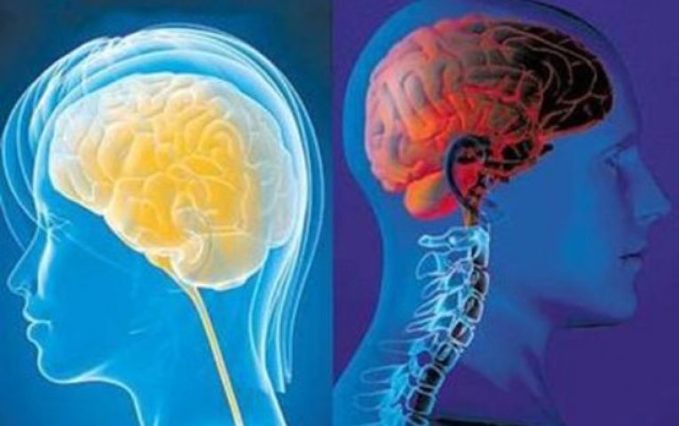  لهذه الاسباب دماغ المرأة أكثر نشاطًا من الرجل