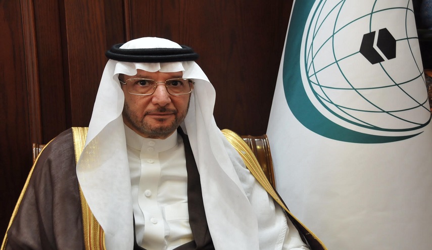 حينما تدافع منظمة التعاون الإسلامي عن الظالم!