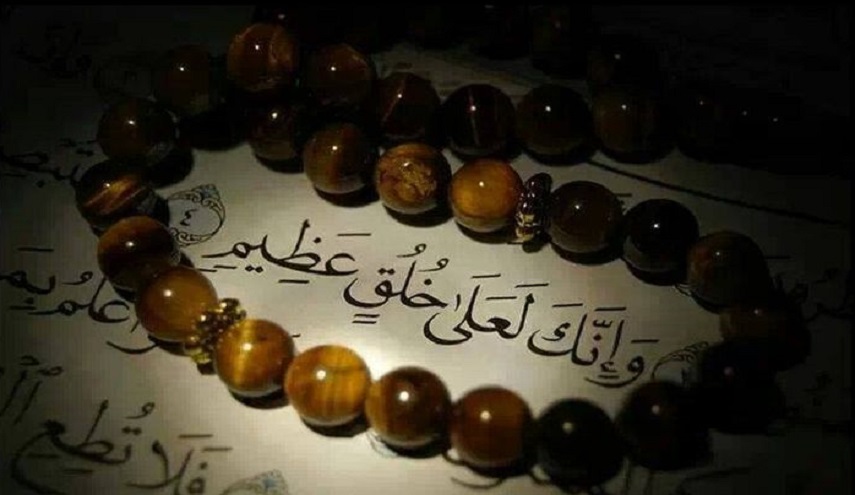 سنن النبي (صلى الله عليه وآله) في المجتمع الإنساني