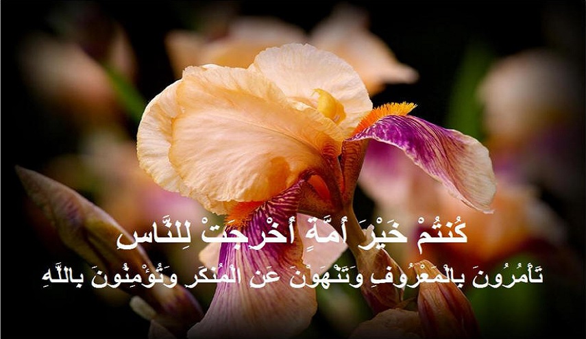 مسؤولية الأمر بالمعروف والنّهي عن المنكر.. على من تقع؟