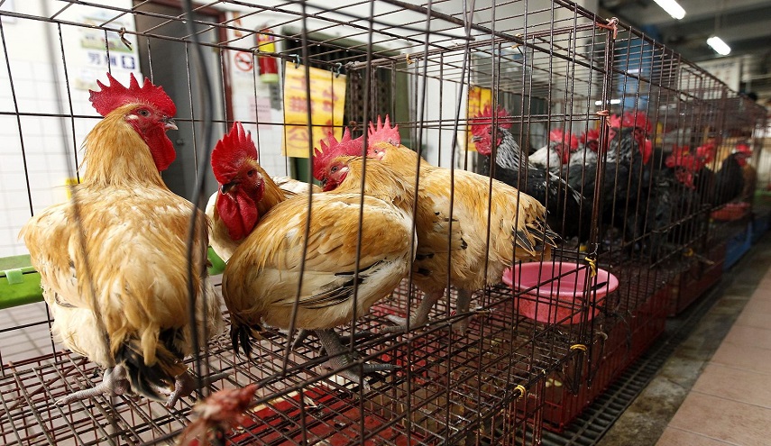 مرض خطير يظهر مجددا في السعودية