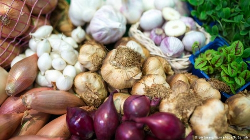 ما سر البصل والثوم مع مرض السرطان؟