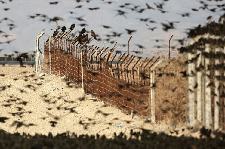 هل سيفتح اعتذار تل أبيب قنوات علنية بين الأردن وبين "إسرائيل"؟