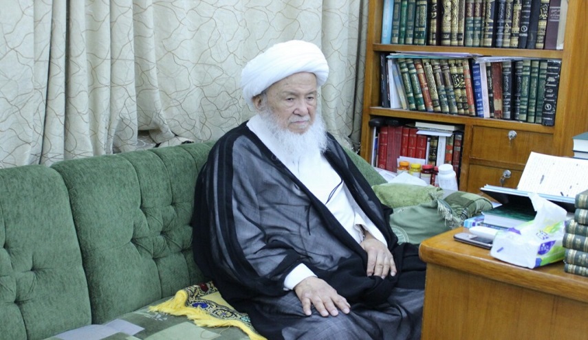 المرجع الفياض: فقهاء النجف لم يهتموا بالسياسة مطلقا...!!