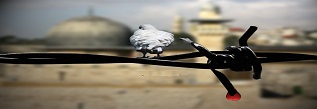 أغصان الزيتون 