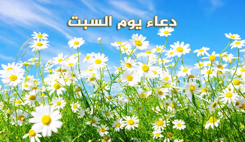 دعاء يوم السبت.. بصوت القارئ ميثم التمار