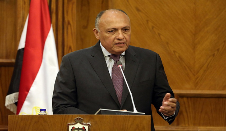 شكري: أي تدخل عسكري بسوريا تقويض لفرص الحل السياسي