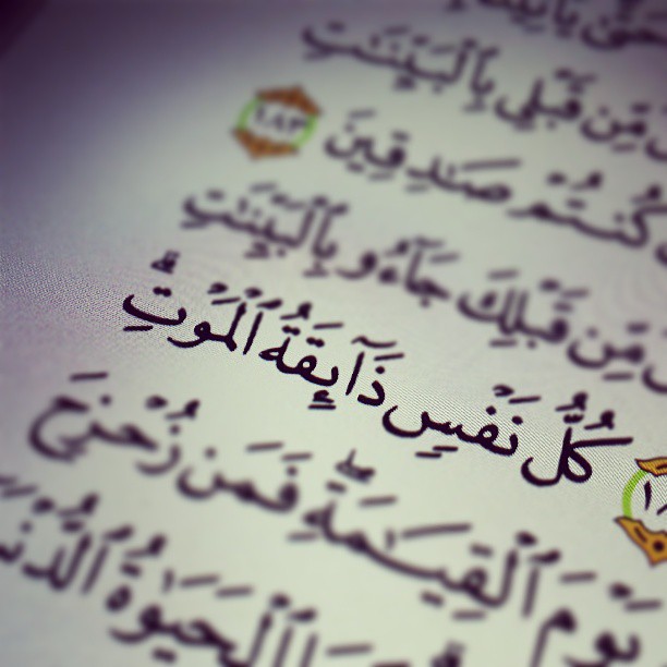 عذاب القبر في الاسلام .. من الآيات القرآنية الدالة على عذاب القبر وتحليلها
