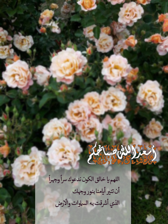 نسألك أن تنير أيامنا بنور وجهك