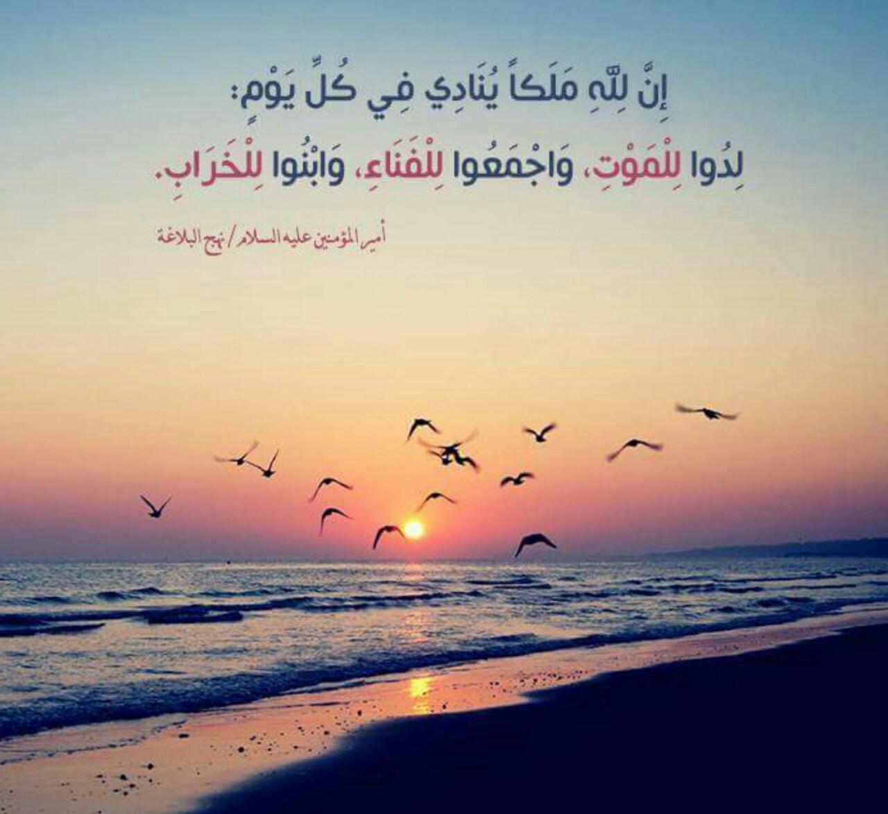 ملك ينادي كل يوم...