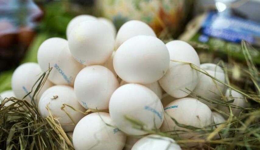 ما الذي يحدث في الجسم عند تناول ثلاث بيضات في اليوم