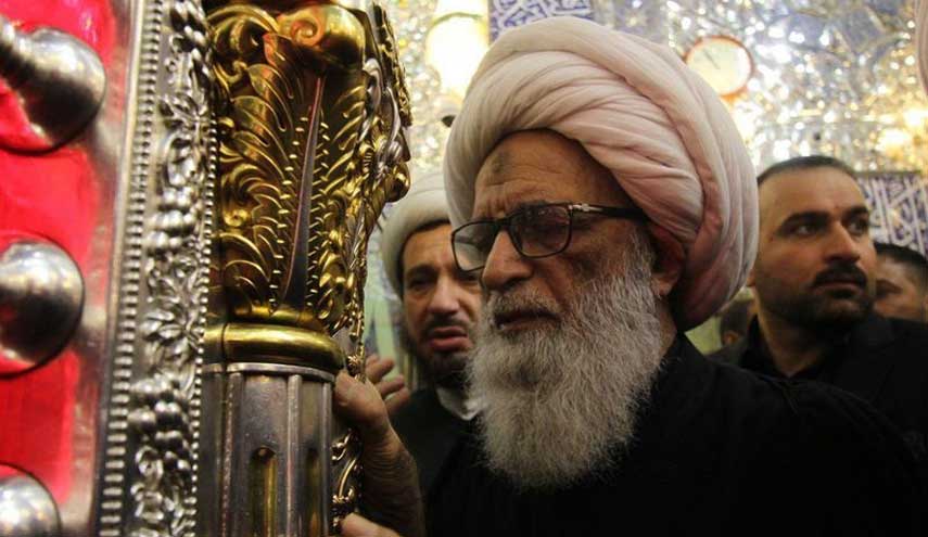 فتوي المرجع النجفي حول أطفال الأنابيب؟