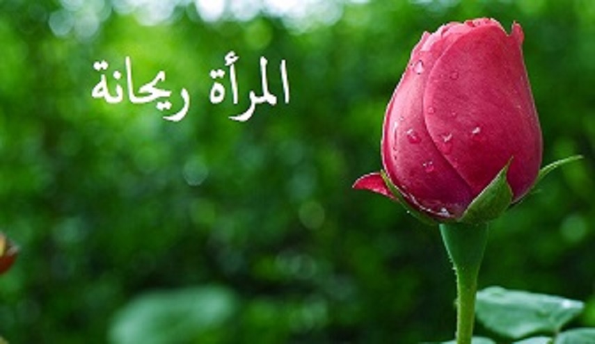 هل صحيح أن لأمير المؤمنين(ع)نظرة سلبية تجاه المرأة؟