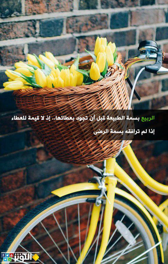 الربيع بسمة الرضا