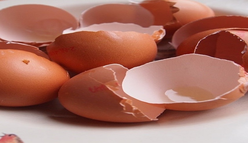 فوائد قشر البيض للطول.. قشور البيض تساهم في زيادة الطول