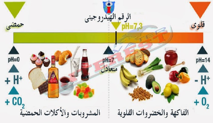 النظام الغذائي القلوي.. يمنحك فوائد جمة، منها الرشاقة