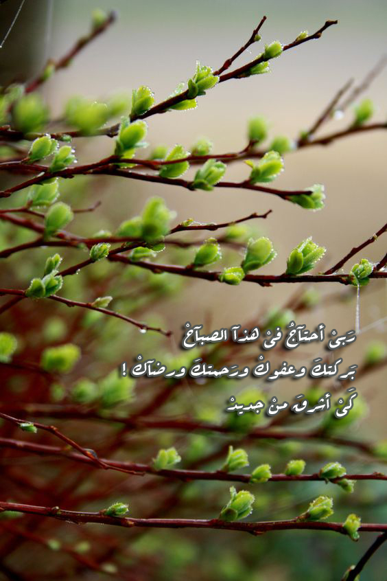 ربي عفوك ورضاك