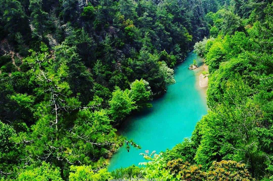 ثروات لبنان