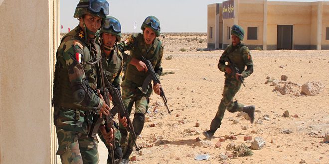 كشته شدن 15 تروريست در سينا