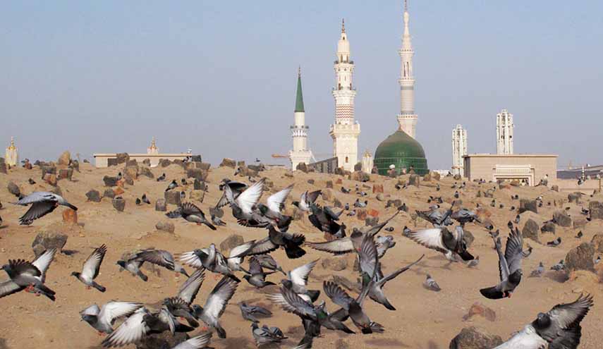 قصيدة.. يوم البقيع هو المنور دربنا