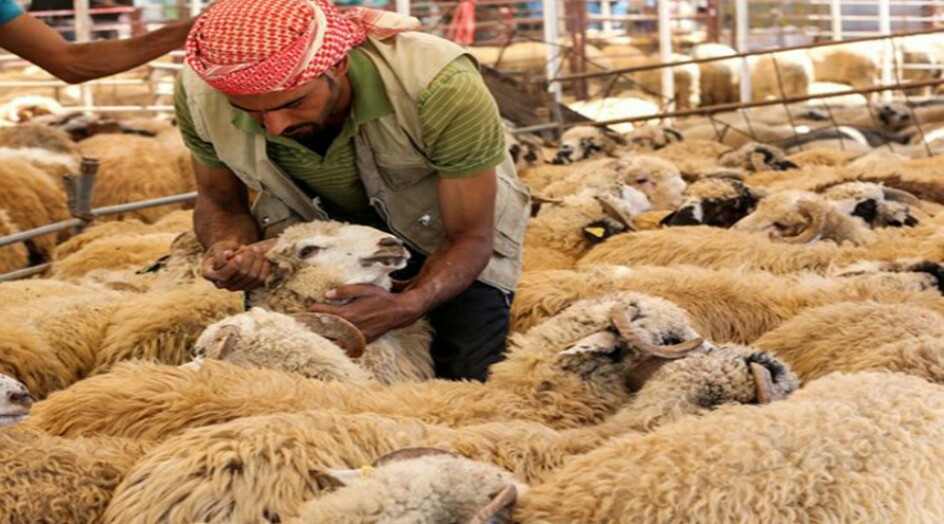 هذه الدول خالفت السعودية في يوم عيد الأضحى