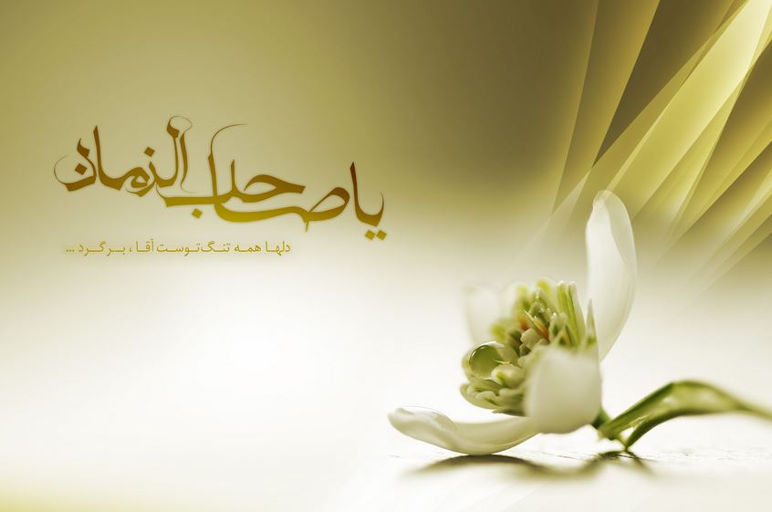ميزان احتمال و شرايط ديدار با امام زمان(عج) در عرفات