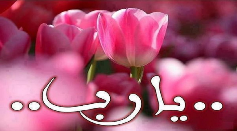دعاء الإمام الحجة...لقضاء الحوائج في الشدة