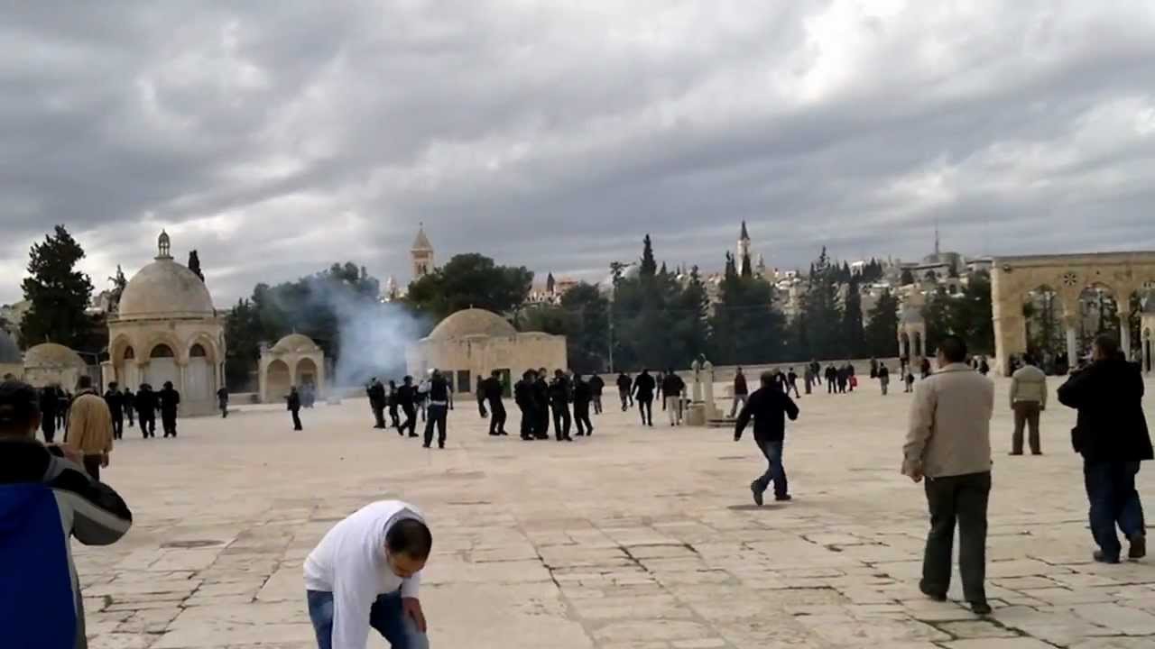 مستوطنون يقتحمون باحات المسجد الأقصى
