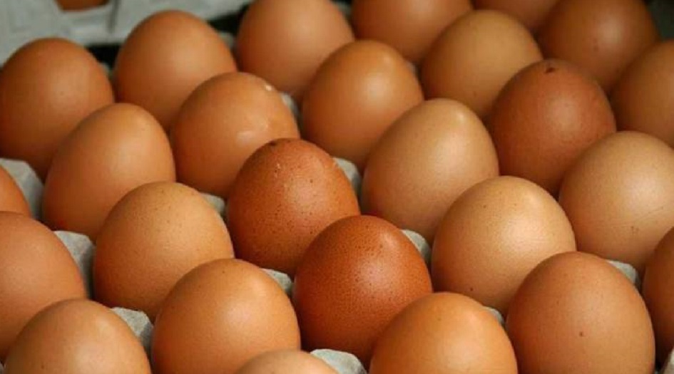  6 بيضات أسبوعيا 
