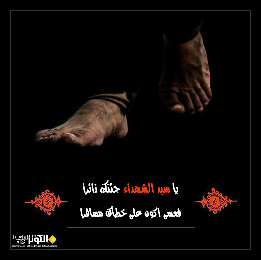 يا سيد الشهداء جئتك زائرا