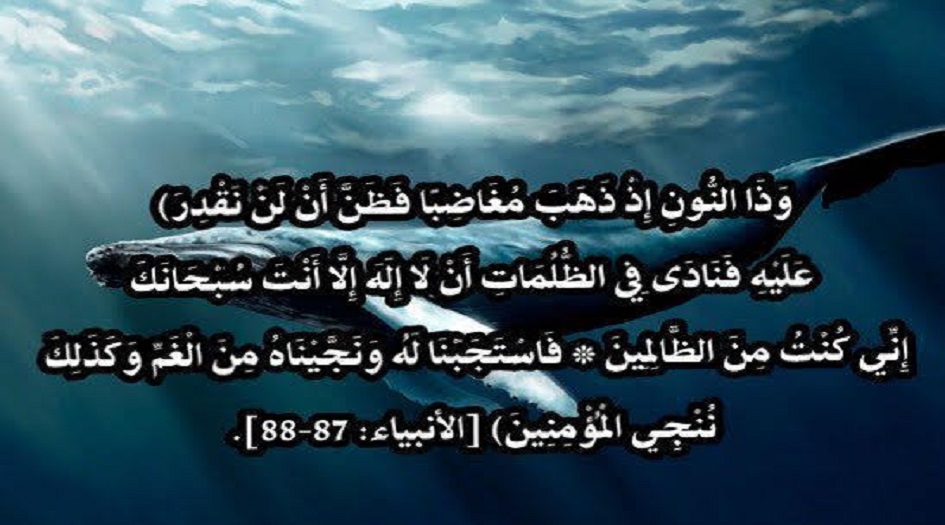 ما لا تعرفه عن ...أسرار وآثار الذكر اليونسي!