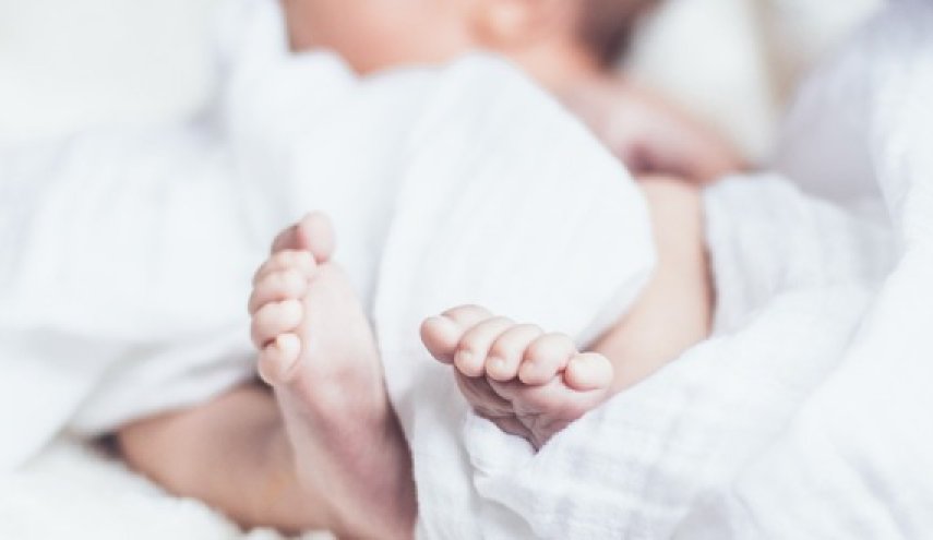 هذه الدولة تمنح قطعة أرض هدية لإنجاب الطفل الثالث!