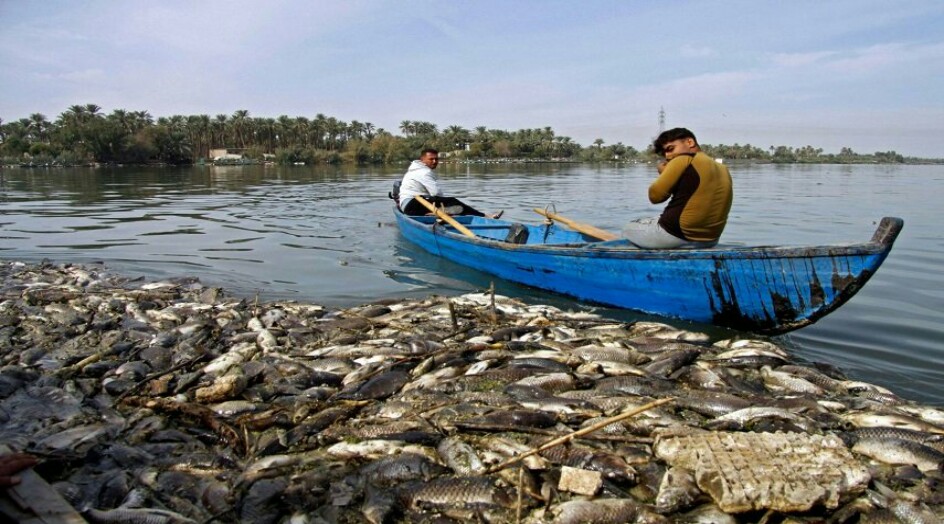العراق .. ظهور نفوق جديد للاسماك بهذه المحافظة