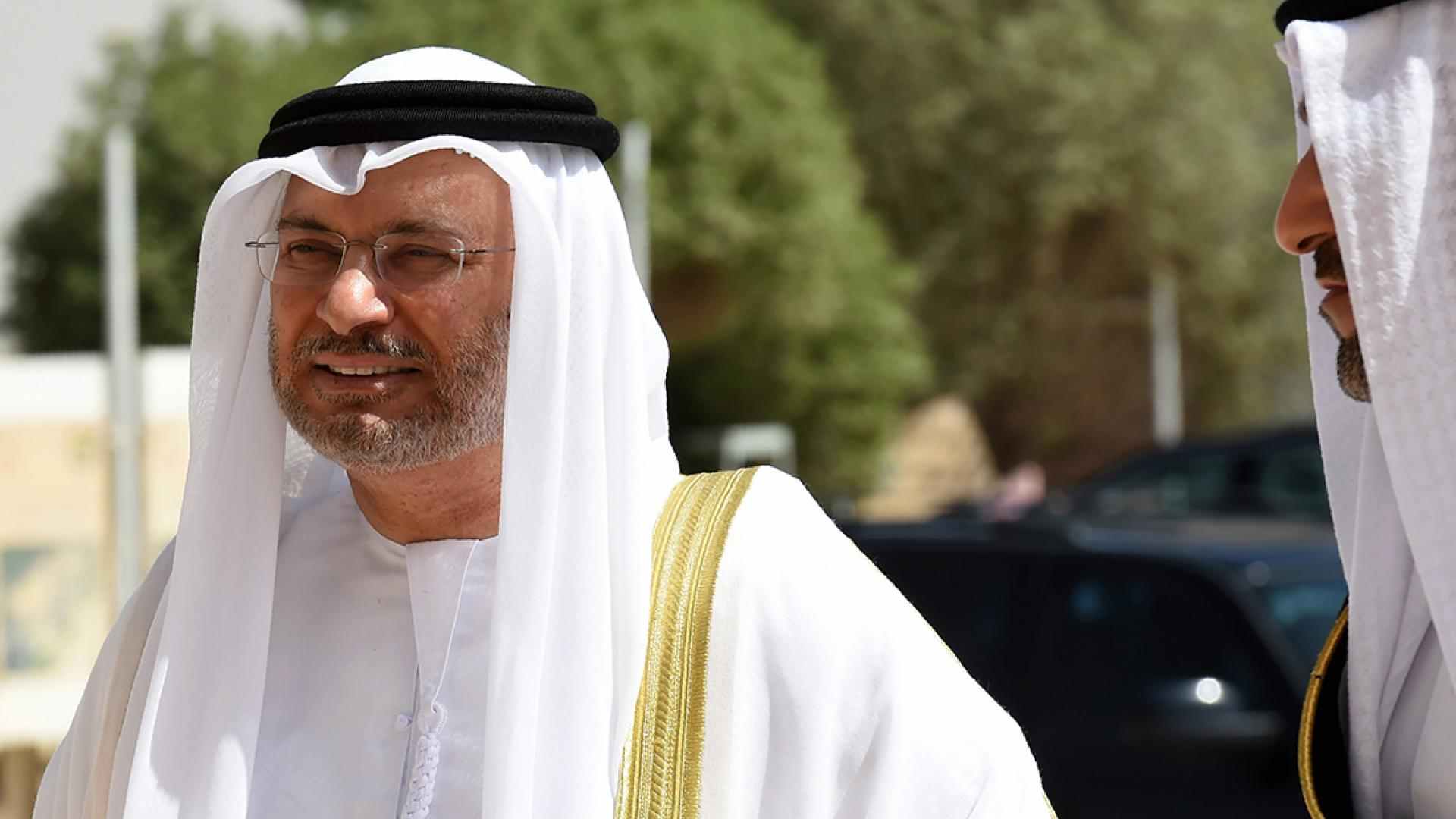 الرميحي يرد على قرقاش"بل هي فرصة لتعريتكم"